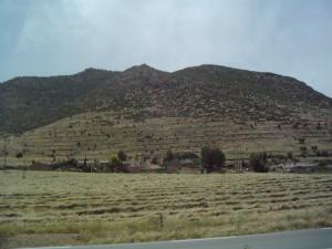 Vers Djelida (Wilaya de Ain Defla)