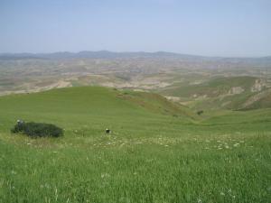 Paysage de la commune de Hoceinia (Wilaya de Ain Defla)