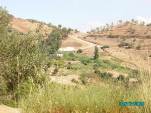 La souce d'eau principale de Ben Allel (Wilaya de Ain Defla)