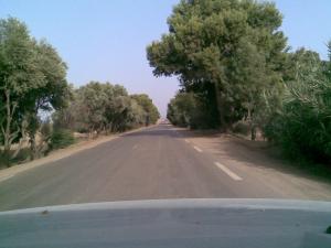 Autoroute de Djendel (Wilaya de Ain Defla)