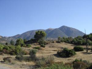 le Zaccar depuis Adélia (Wilaya de Ain Defla)