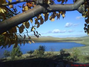 Barrage de Arib (Ain Defla)