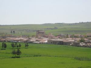 Verdure de Ain Defla au Printemps