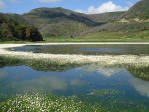 Barrage de Arib (Ain Defla)