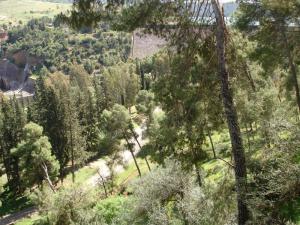 Forêt de Oued Chorfa (Wilaya de Ain Defla)