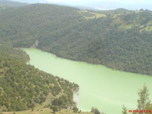 Barrage Arib à Ain Defla