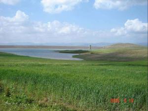 Barrage de Djelida (Wilaya de Ain Defla)