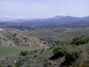 Paysage de Ain Defla