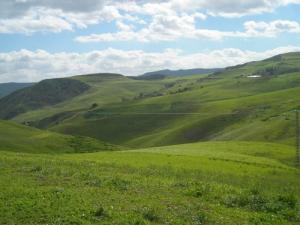 Tiziouchir près de  Ain Torki (Wilaya de Ain Defla)