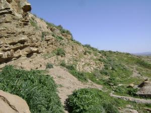 Paysage de Montagne (Wilaya de Ain Defla)