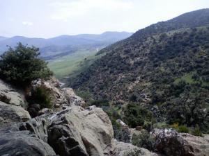 Paysage de Ain Defla