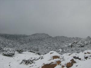La Neige à Theniet (Wilaya de Ain Defla)