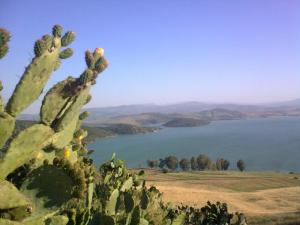 Barrage de Arib (Wilaya de Ain Defla)