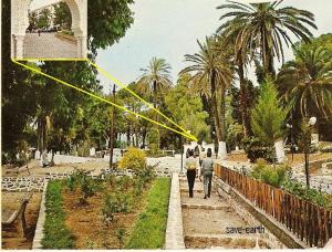 Hammam Righa, Le jardin public (l'ancien)