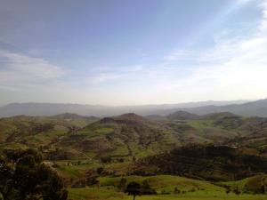 Paysage de Ain Defla