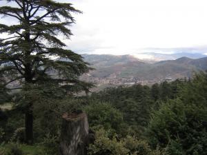 Trés belle vue vers Theniet el had (Wilaya de Ain Defla)