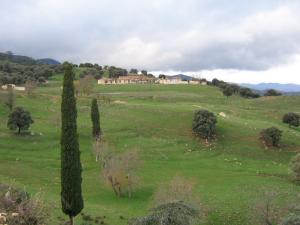 En route vers la Forêt d'el Meddad