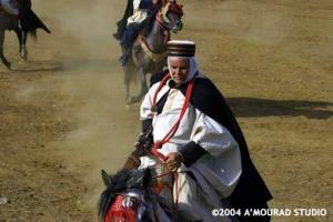 Fantazia à Arib (Wilaya de Ain Defla)