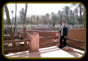 Une Palmeraie de Naama