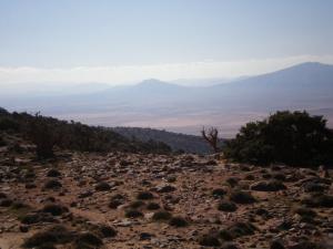 Ain Sefra, Rass Errih Djebel Aissa (Wilaya de Naama)