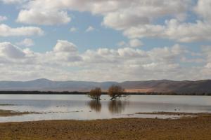 Oglat Eddaira, Commune de Ain ben Khelil (Wilaya de Naama)