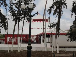 Le Cirque à Ain Temouchent