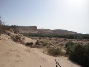 Les sables de Terga, Aïn Témouchent