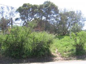 Sortie Ain Temouchent (Thala Touchent) vers Ain El Kihel - Juin 2009