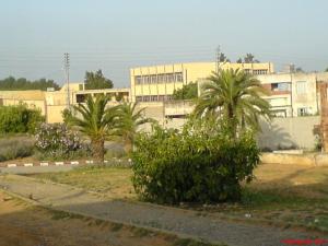 Une Commune à Tipaza