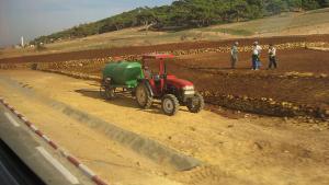 Agriculture près de Tipaza