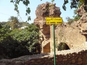 Les Grandes Thermes Romaines de Tipaza