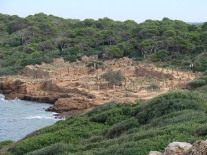 Patrimoine Romain de Tipaza