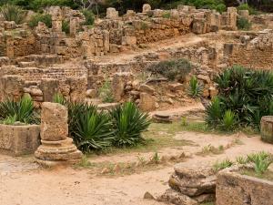 La Cité Romaine de Tipaza