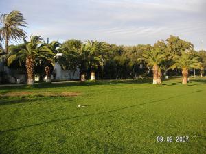 Jardin attenant au complexe touristique de Tipaza