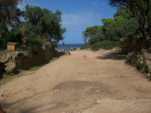 Patrimoine Romain à Tipaza