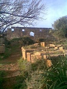 Monuments Romains à Tipaza