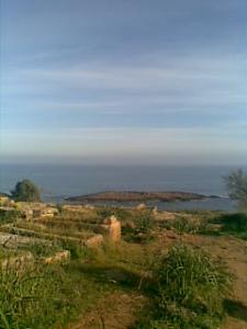 Monuments Romains à Tipaza