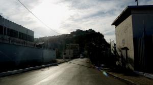 Une Allée de Ain Temouchent