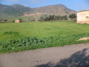 Une commune de Ain Temouchent