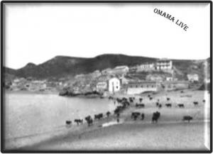 Plage Bou Zadjar  1945 (Ain Temouchent)