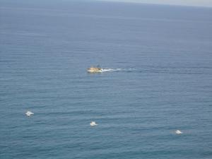 Bateau de Pêche sur la côte de Ain Temouchent