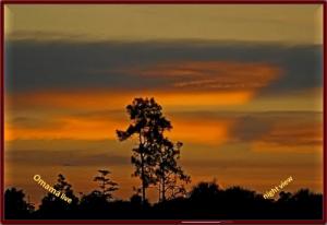 sid el barodi El amria (Ain Temouchent)