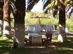 SIGA (Ain Temouchent)