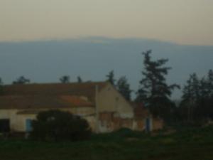 Une ferme à el Amria (Ain Temouchent)