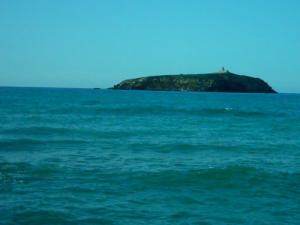 l'île de Rachgoun (Ain Temouchent)