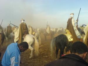 Fantazia à Ain Temouchent