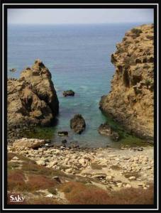 Les Rochers de Rachgoun (Ain Temouchent)