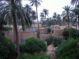 Ghardaia, entrée d'une palmeraie