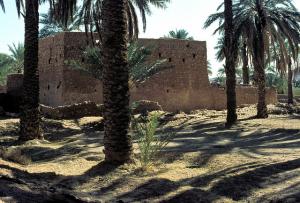 Muraille d'un Ksar à Ghardaïa