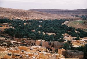 Oasis à Ghardaïa